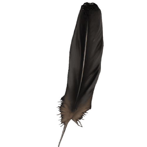 Crow Feather